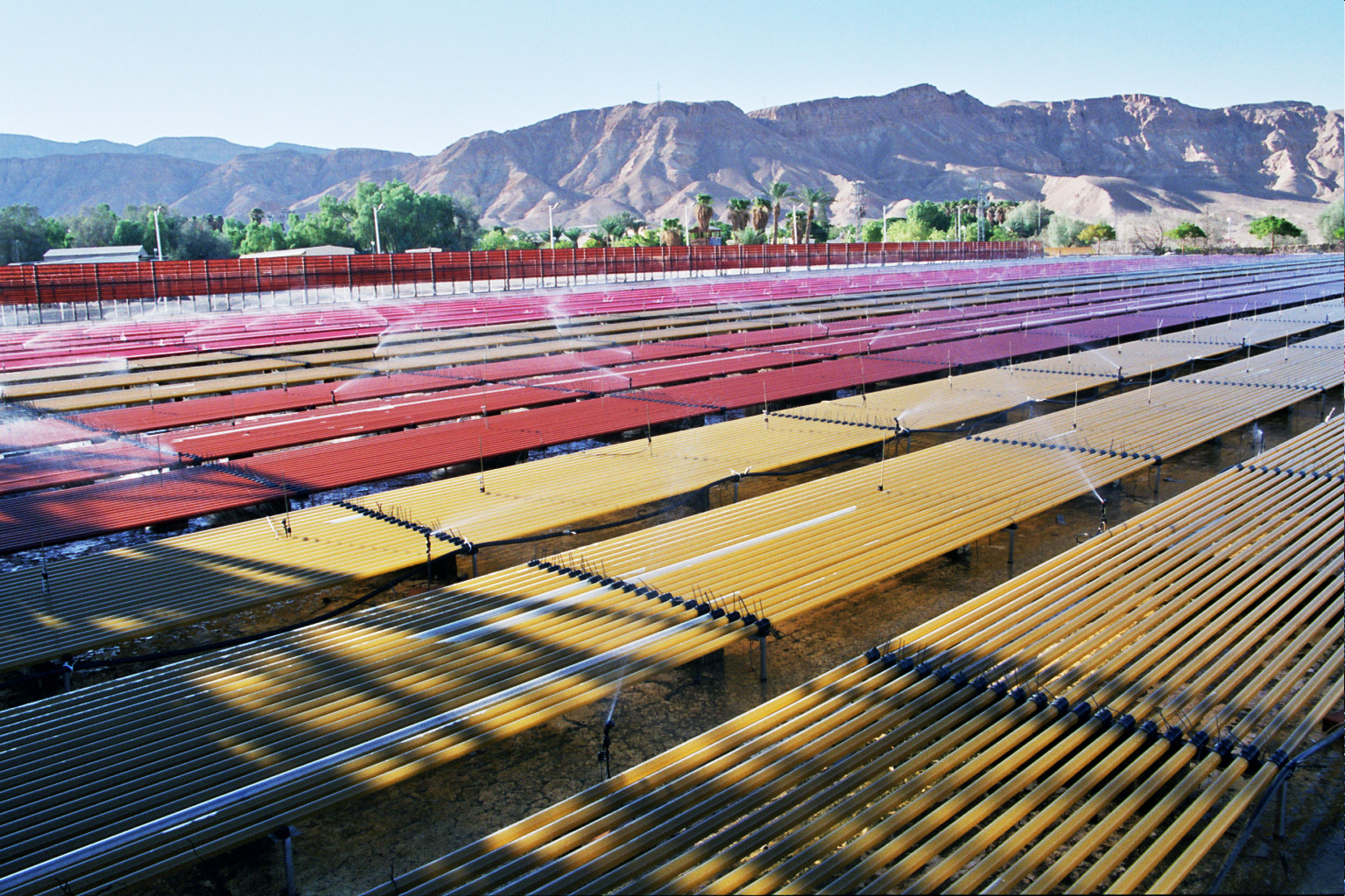 Algatechnologies introduces wholealgae AstaPure natural astaxanthin