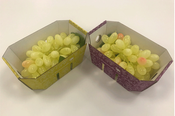 Smurfit Kappa sees rise in demand for sustainable produce packaging Smurfit Kappa sees rise in demand for sustainable produce packaging